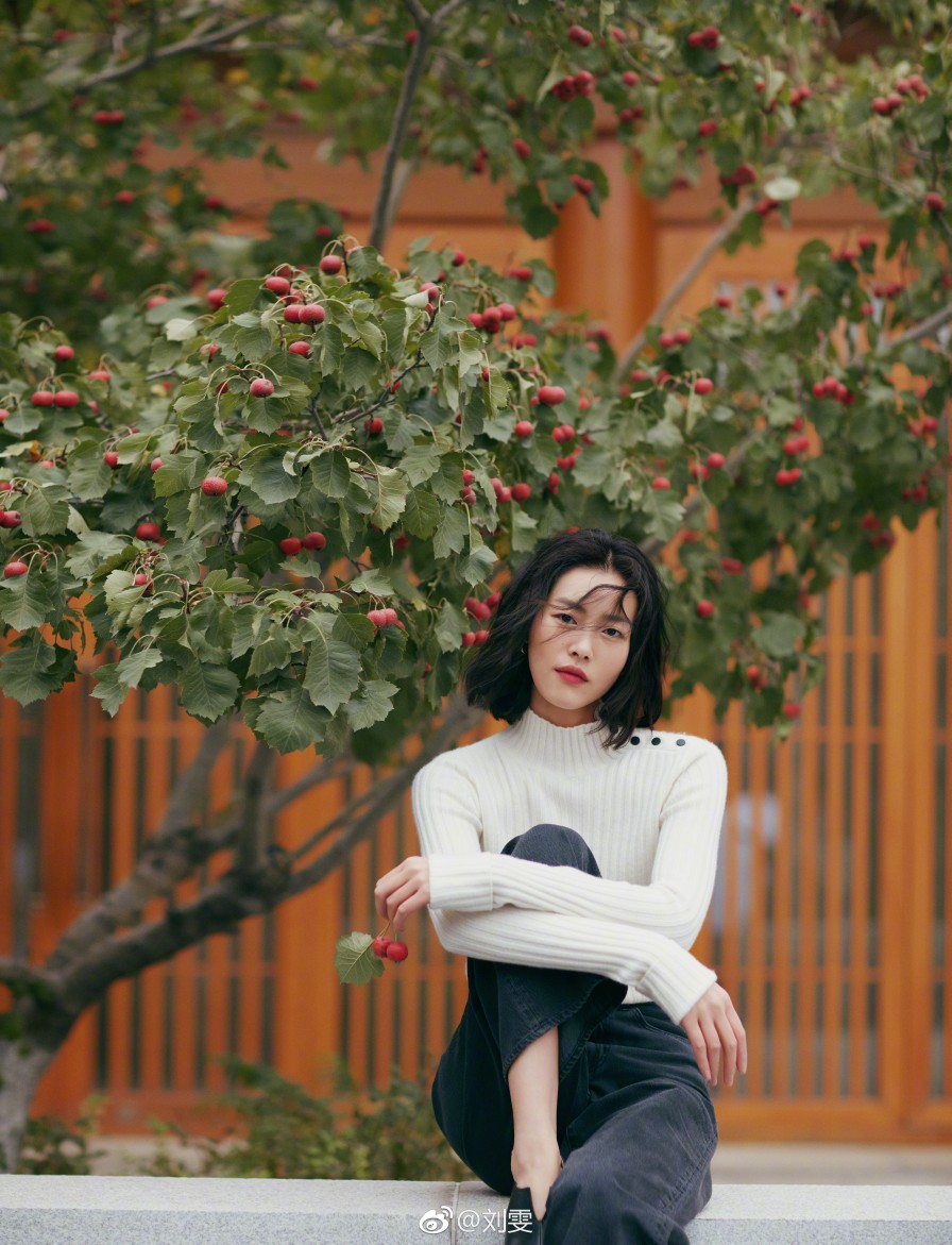 大表姐 刘雯 壁纸