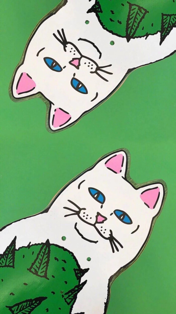 竖中指的猫