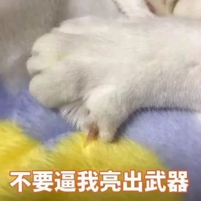 沙雕表情包
