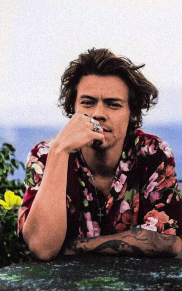 harry styles 哈卷