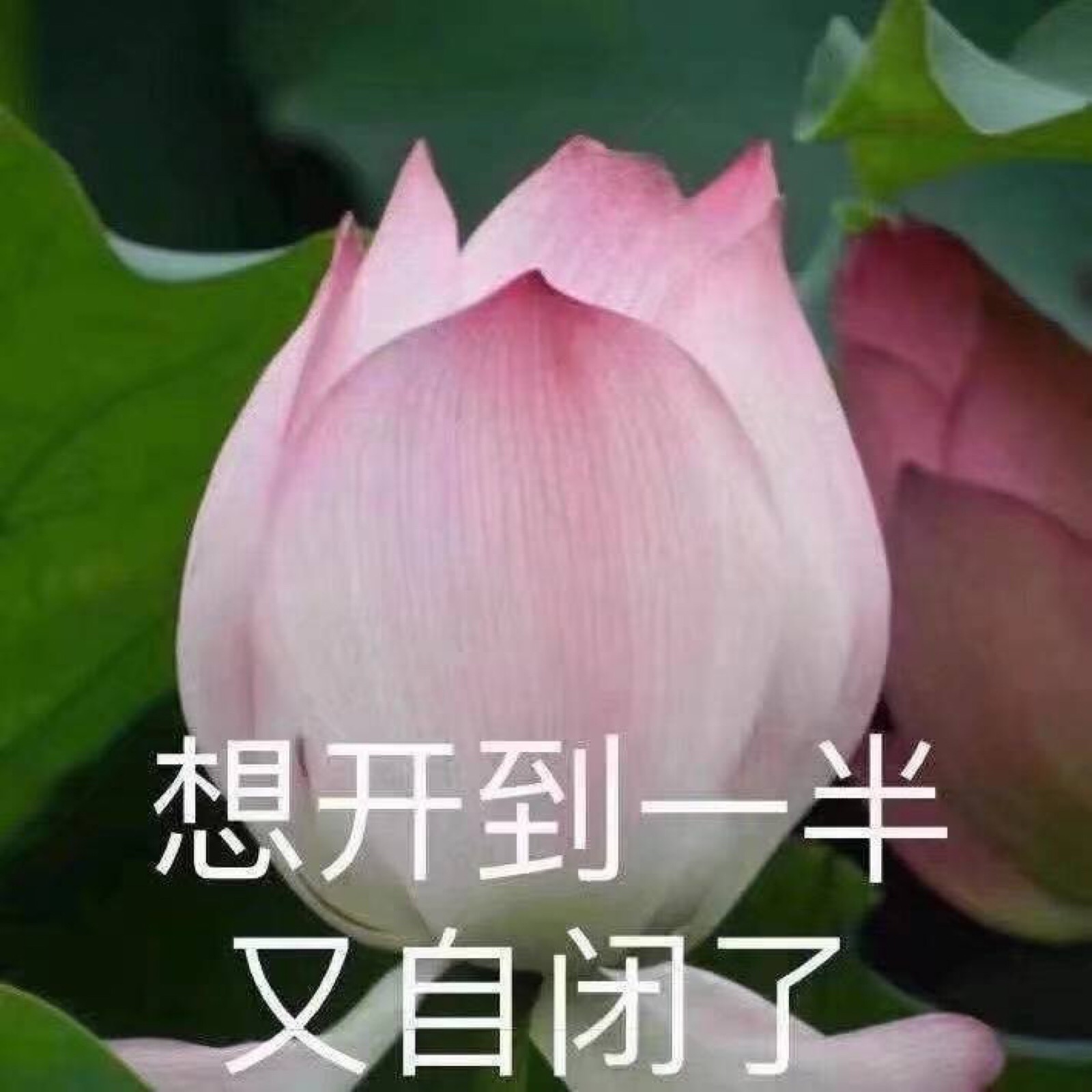 自闭