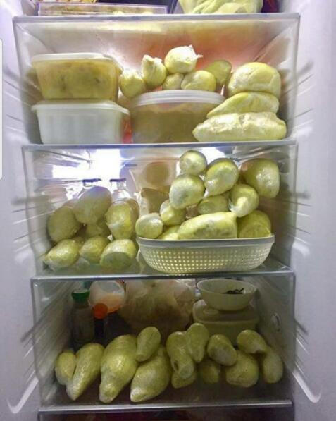 这大概是榴莲控最想拥有的冰箱了吧 #美食