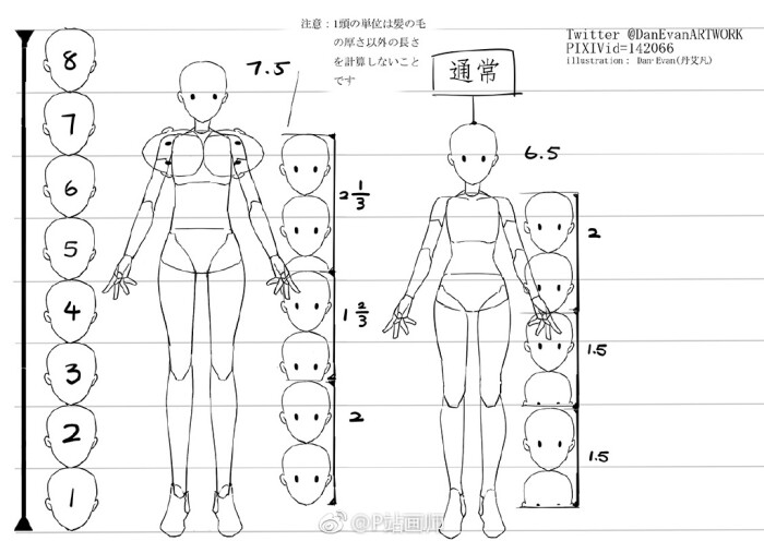 通用型女性2-9头人体的比例~p站画师:dan·evan,pid=25525 (转)via