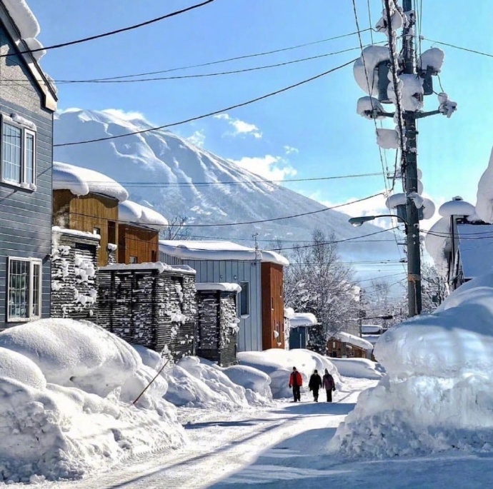 这个冬天,带上喜欢的人一起去北海道看雪吧