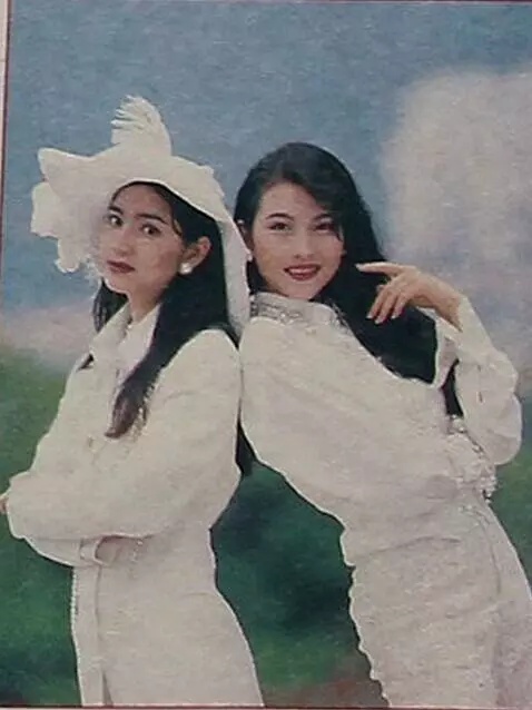 洪欣,蔡少芬