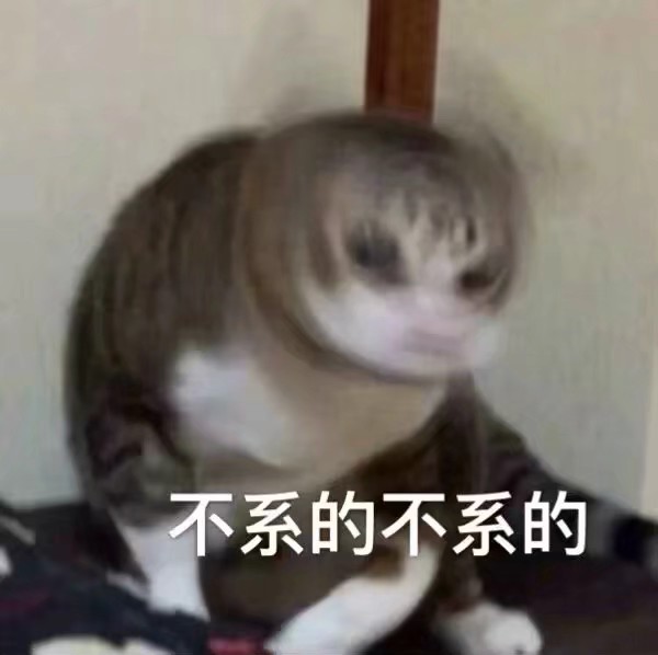 猫咪熊猫搞笑表情包 哈哈哈哈哈哈哈哈哈哈哈哈