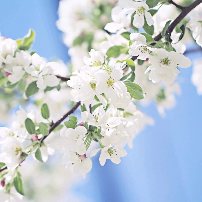 想人间婆娑,全无着落;看万般红紫,过眼成…-堆