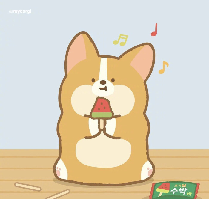 柯基