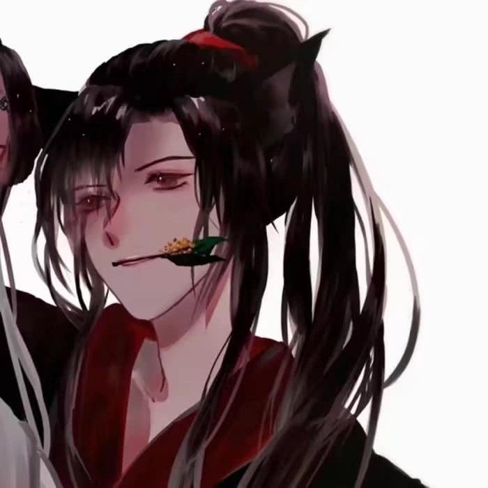 动漫男生头像 魔道祖师 魏无羡 蓝忘机 二次元