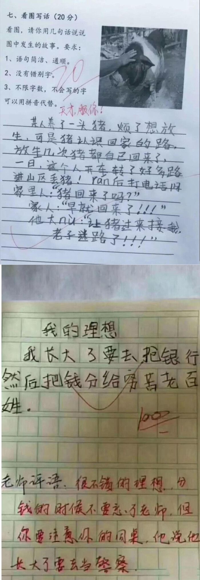 小学生爆笑作文走红网络,这都是些什么神仙脑洞?转