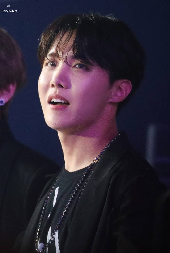 bts jhope 郑号锡