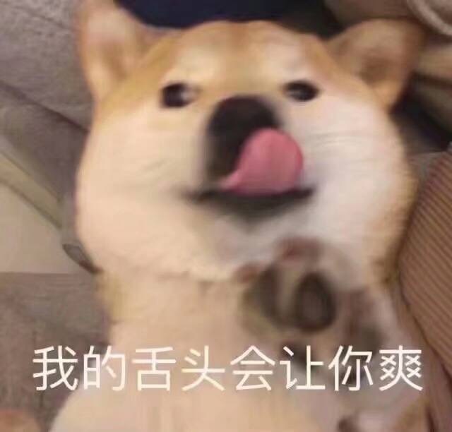 舔狗 表情包