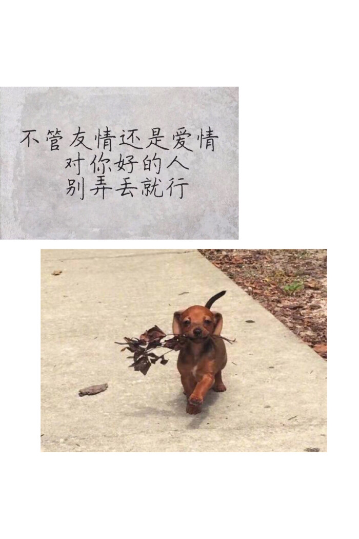 期待我们也能相知相爱.