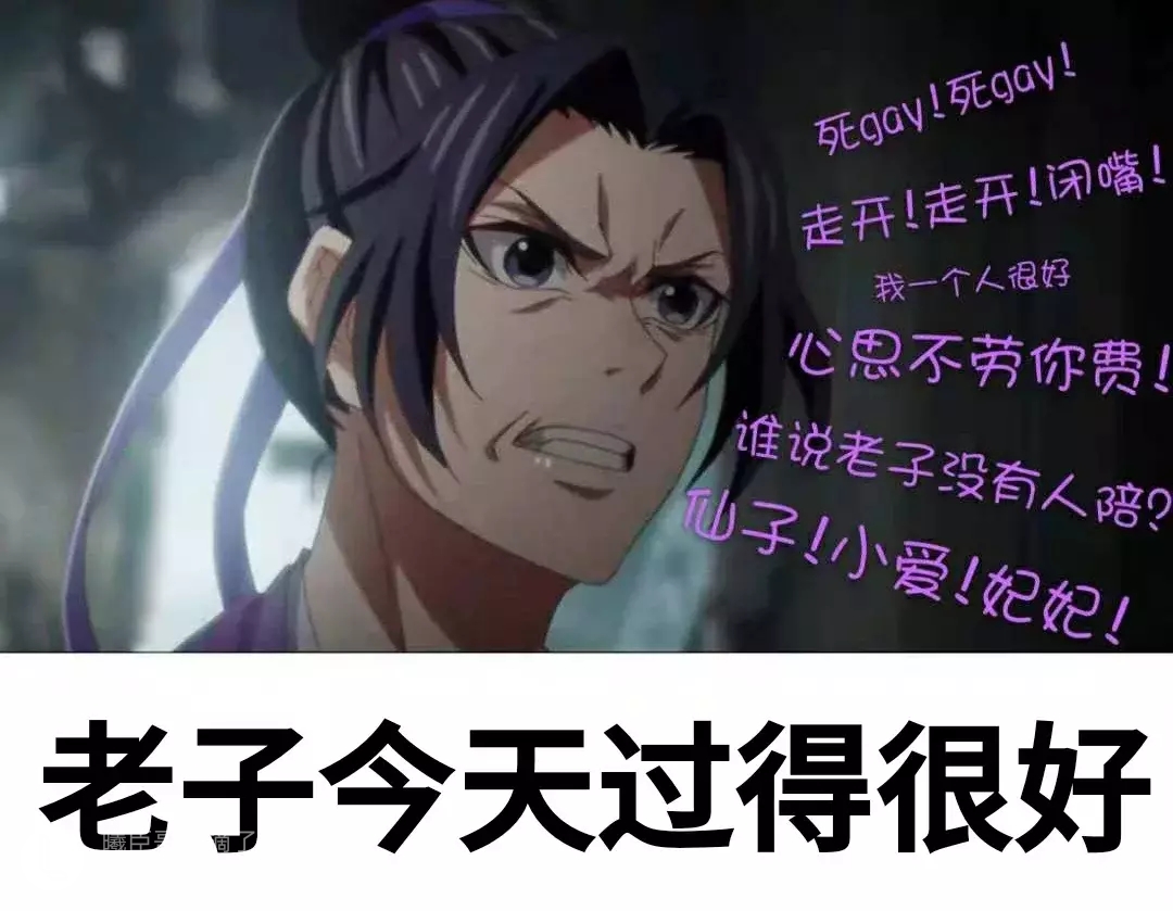 魔道祖师表情包 (含天赐 渣反 杀破狼)