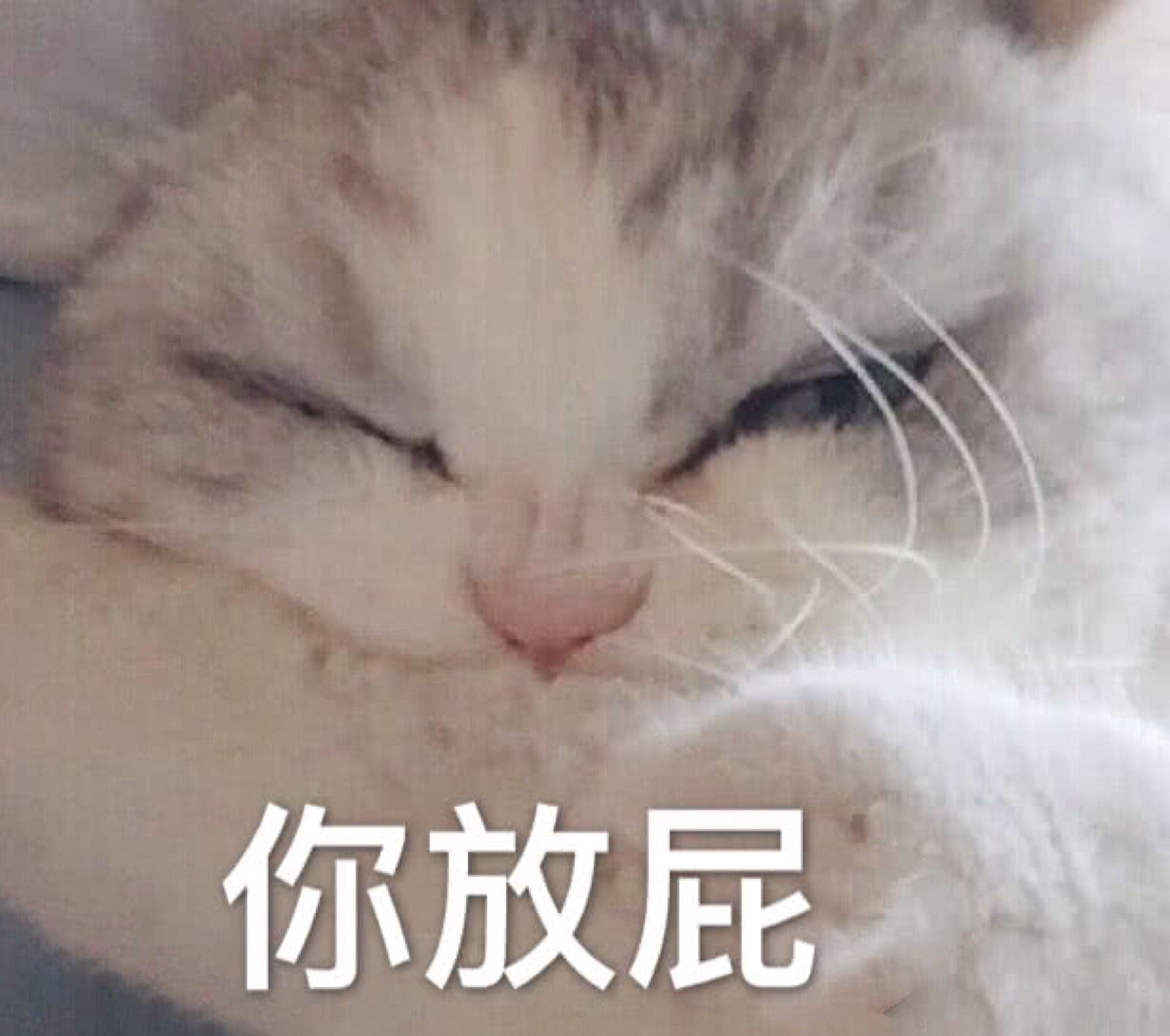 撩汉表情包 男朋友 恋爱 搞笑 撒娇 傲娇