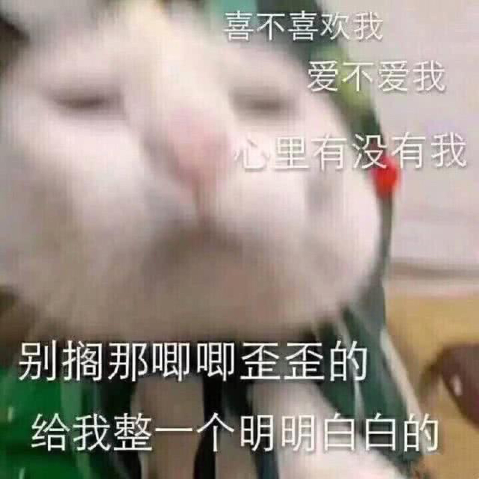 撩汉表情包 男朋友 恋爱 搞笑 撒娇 傲娇