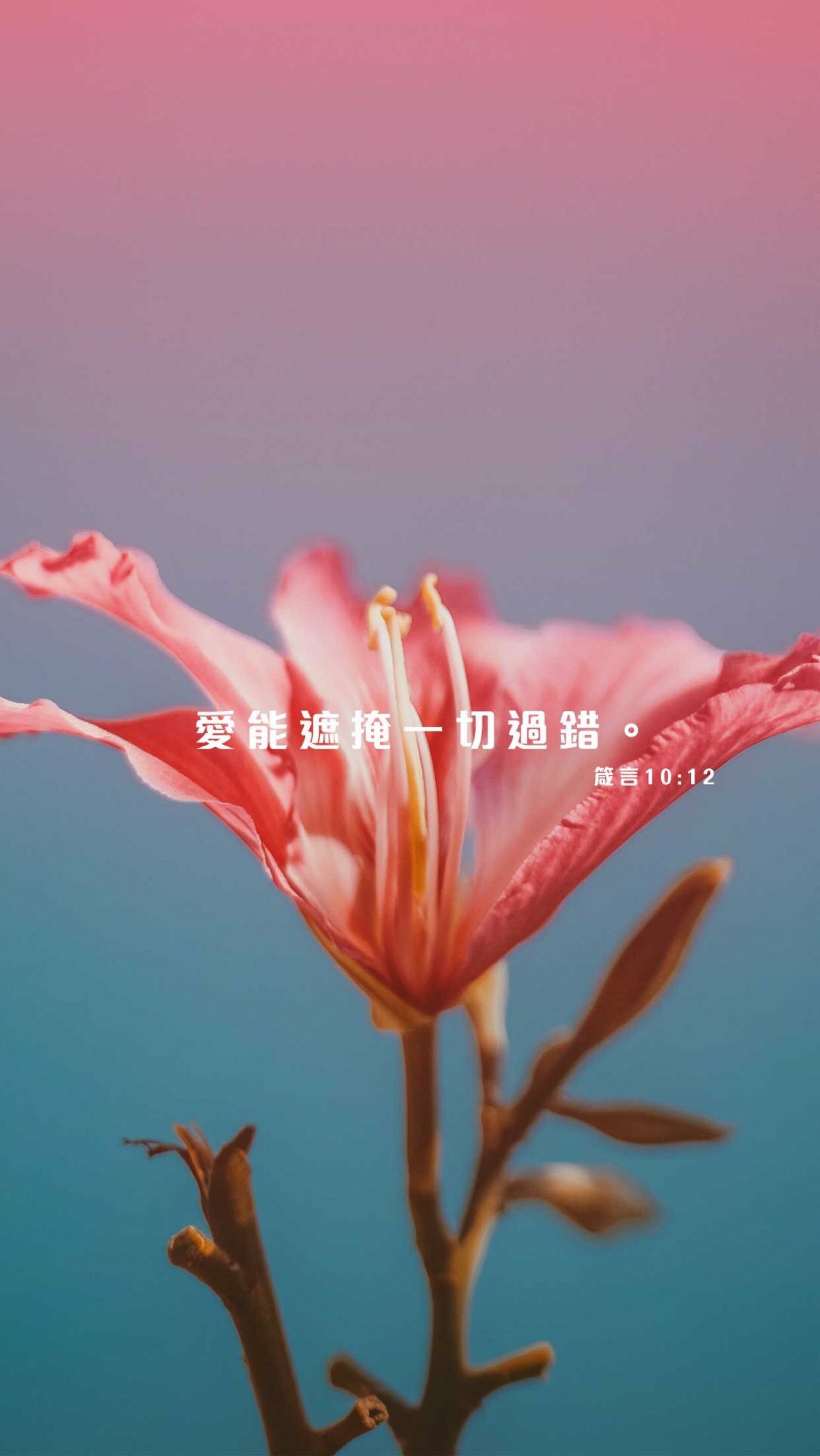 1600_2843竖版 竖屏