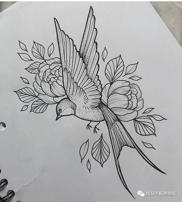 白描花卉