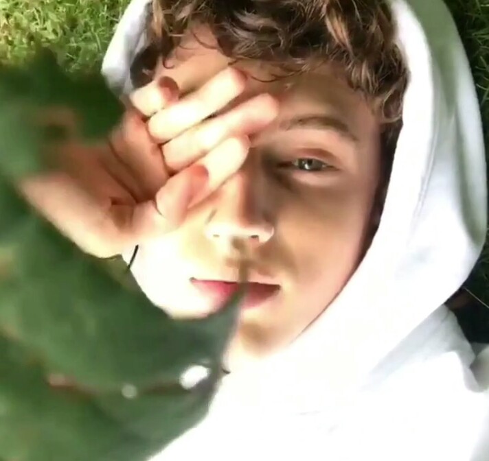 戳爷troye sivan 特洛耶希文 自截 ins 老图 [杨晋戈]