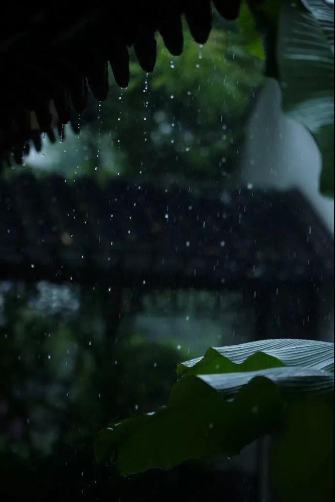 【诗词中国】今夜,有雨敲窗2