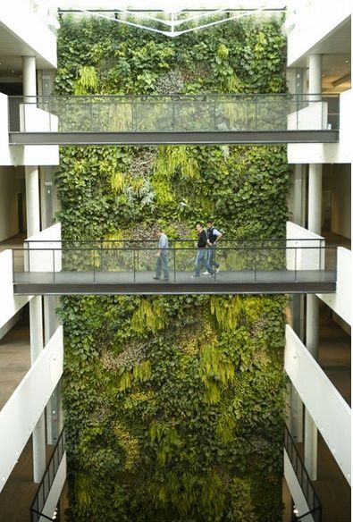 通过在建筑物室内外墙壁栽植各种植物或高攀藤本植物来绿化,美化墙体