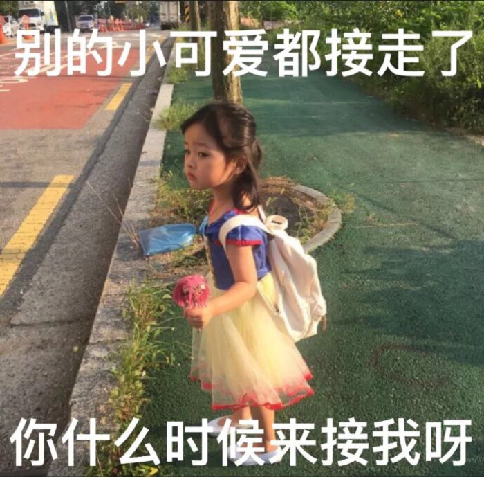 权律二表情包喜欢的可以加vx 留下你的vx我加你