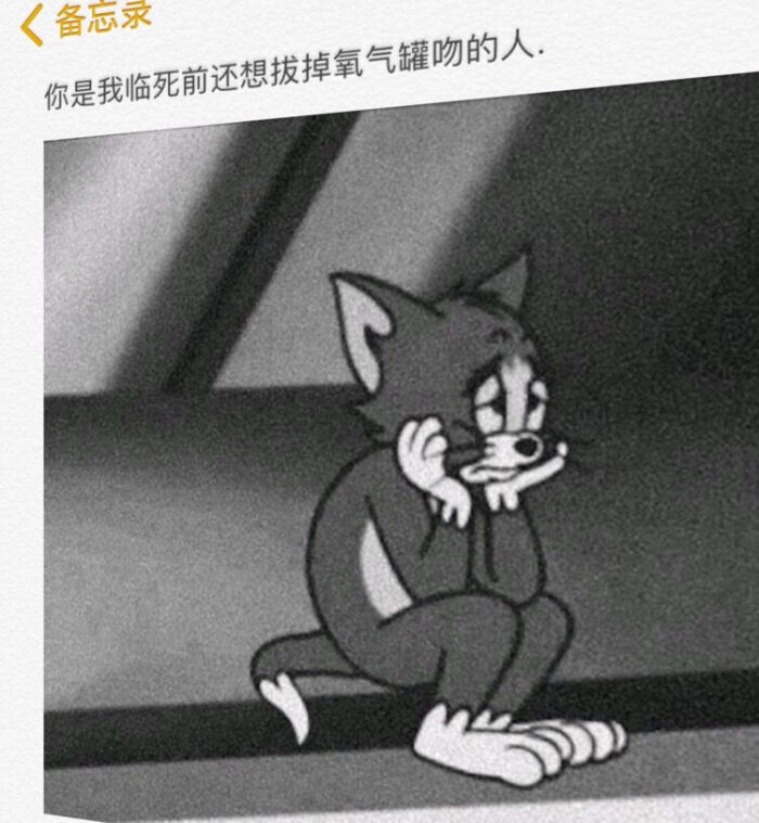 丧系 愿喜呐