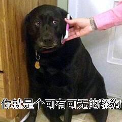 你就是个可有可无的舔狗
