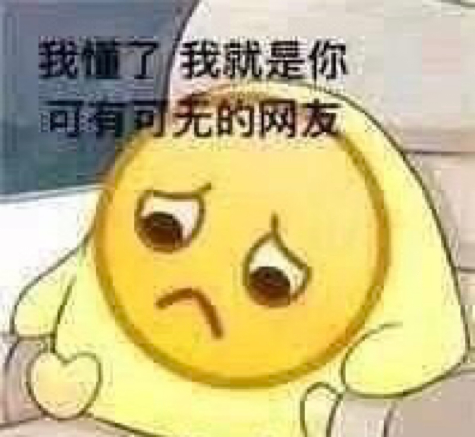 我懂了,我就是你可有可无的网友