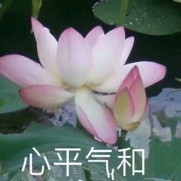 莲花系列头像 搞怪