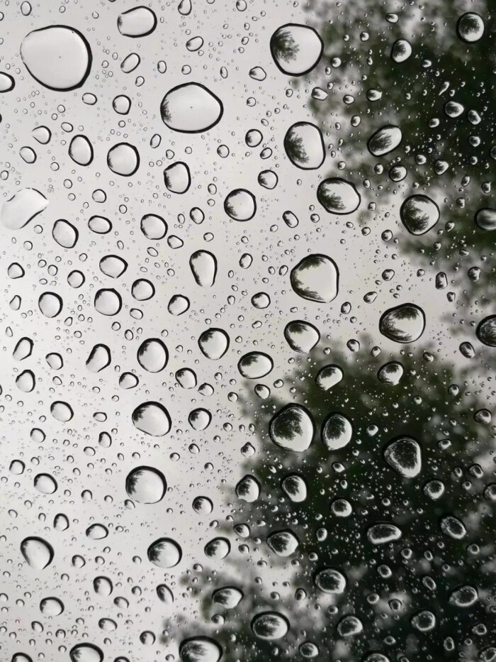 雨滴壁纸