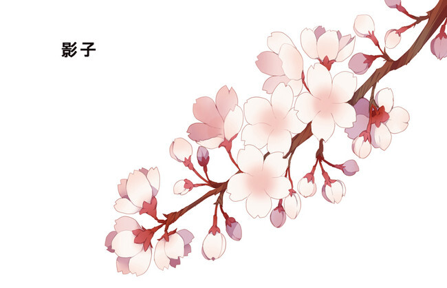 樱花的画法4