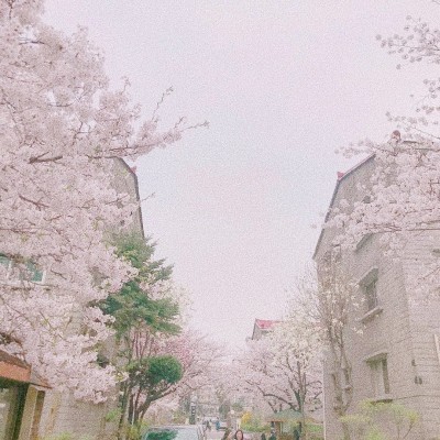 今日份开心-堆糖,美好生活研究所