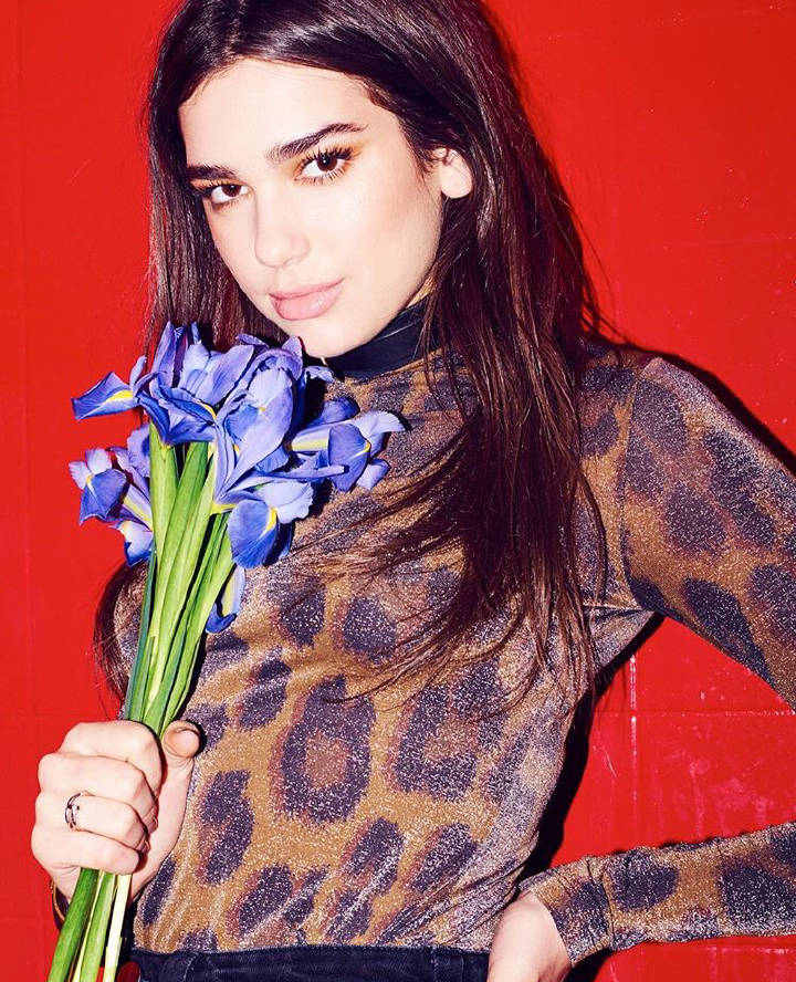 dualipa