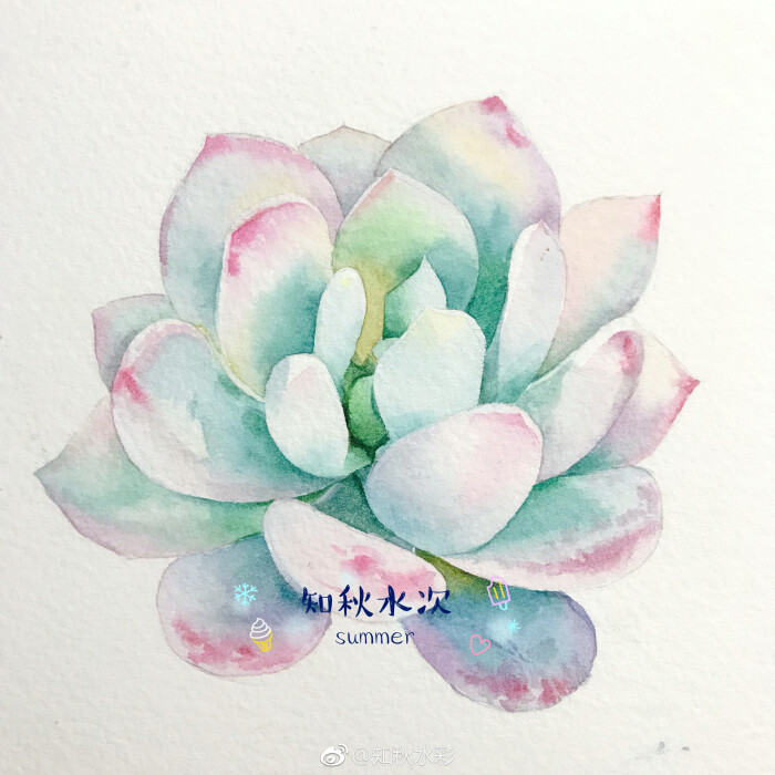 来波九宫格多肉～水彩画 ( 作者:知秋水彩)