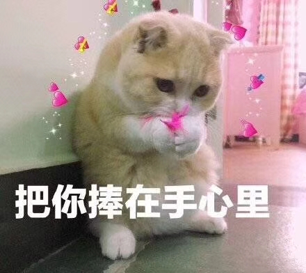 意境 美图 动物 大海 搞笑 gif 暴走漫画 文字控 斗图 表情包 金馆长