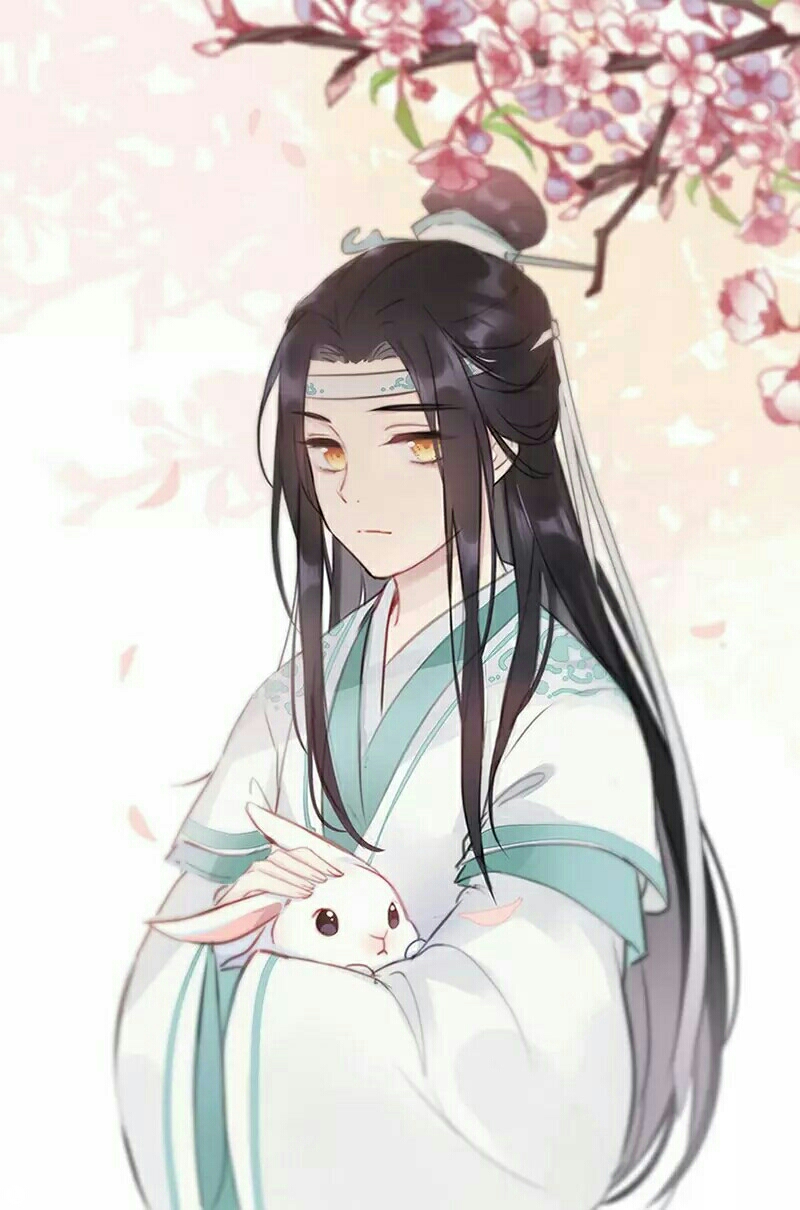 魔道祖师蓝忘机 魏无羡