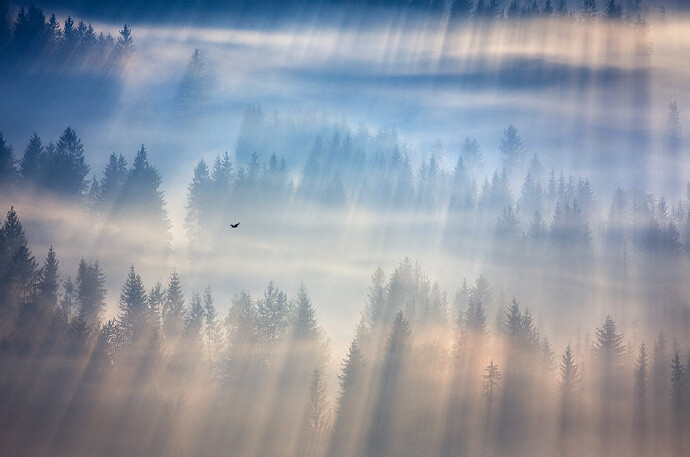 穿越暮光的帷幕,黎明之光就在眼前.ins marcin_sobas