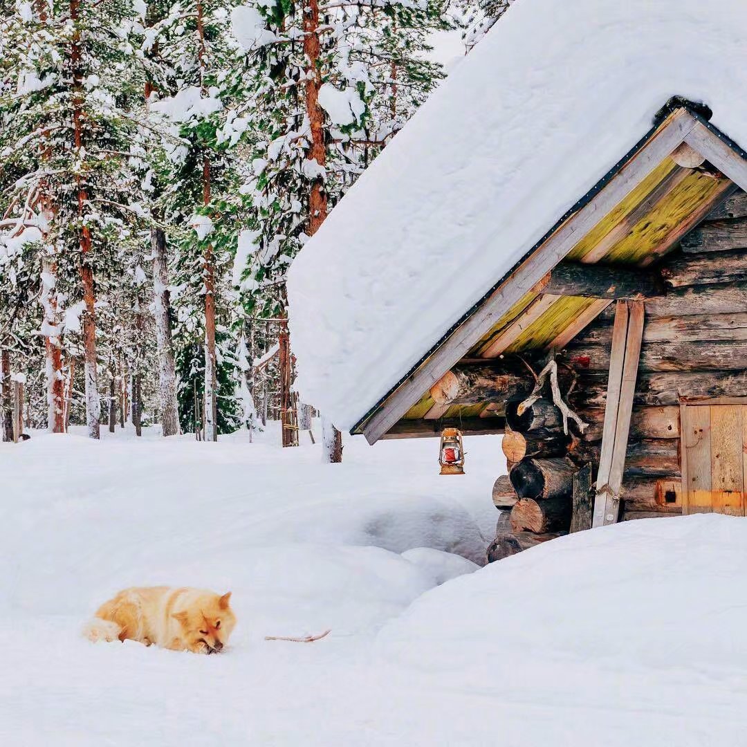 芬兰的冬日雪景