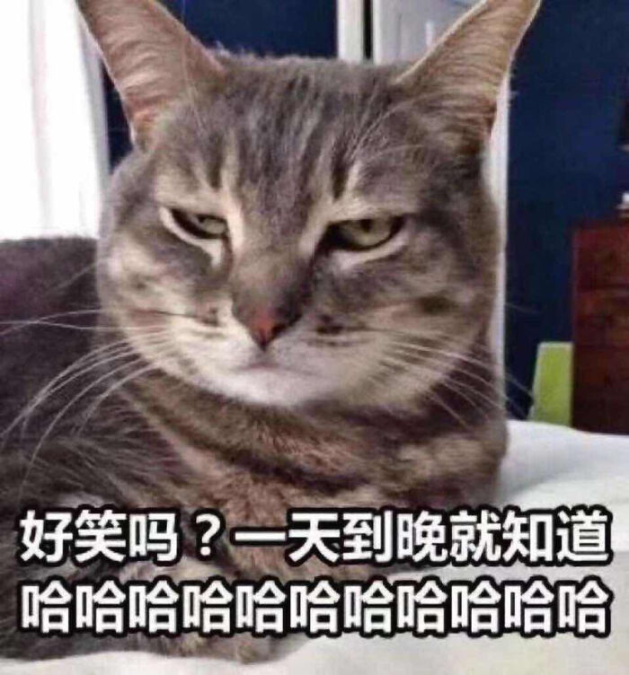 烦烦的表情包.