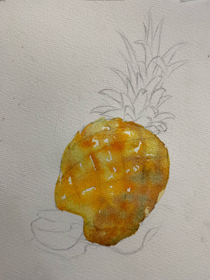 水彩菠萝步骤图