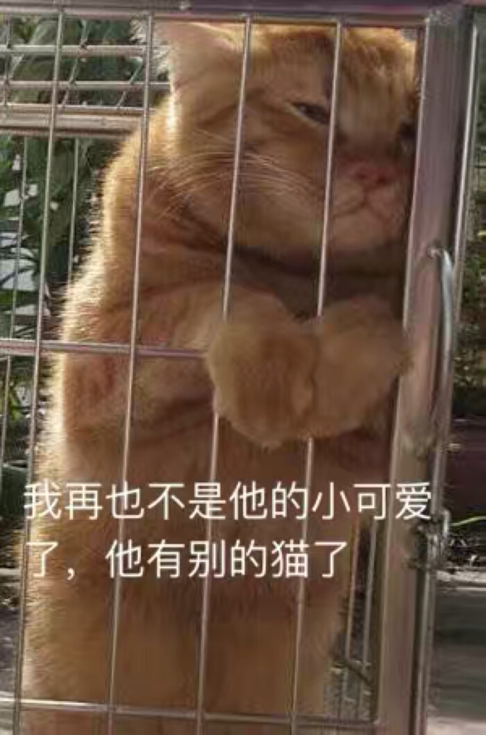 情侣表情包生气可爱