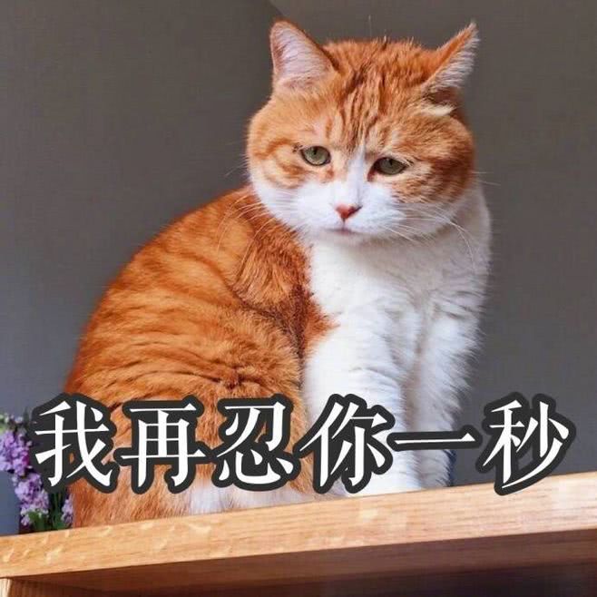 表情包‖今日份沙雕表情包哈哈哈