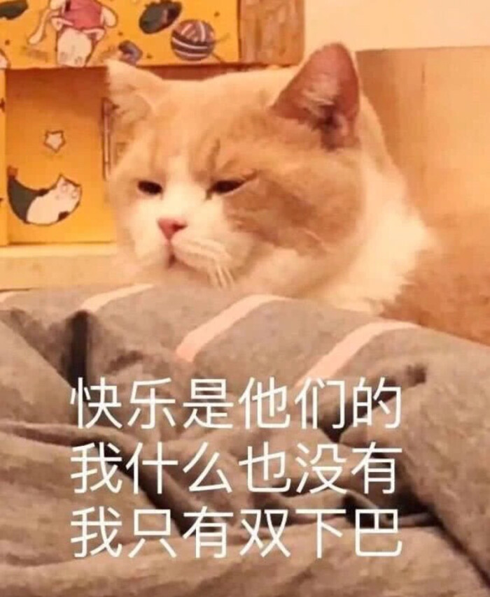 快乐是他们的,我什么都没有,我只有双下巴