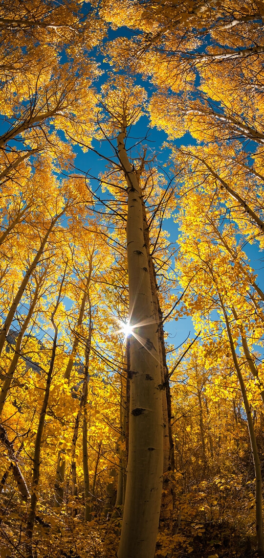 壁纸,美景 美图 大美风景.