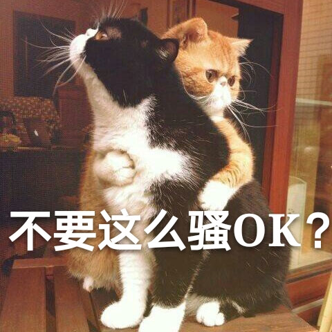 萌猫喵喵表情包 可爱