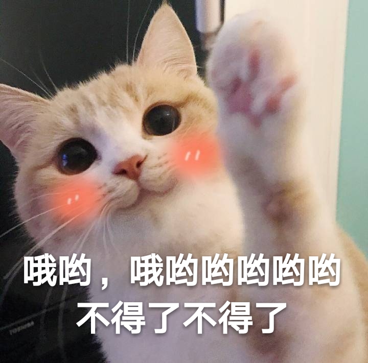 萌猫喵喵表情包