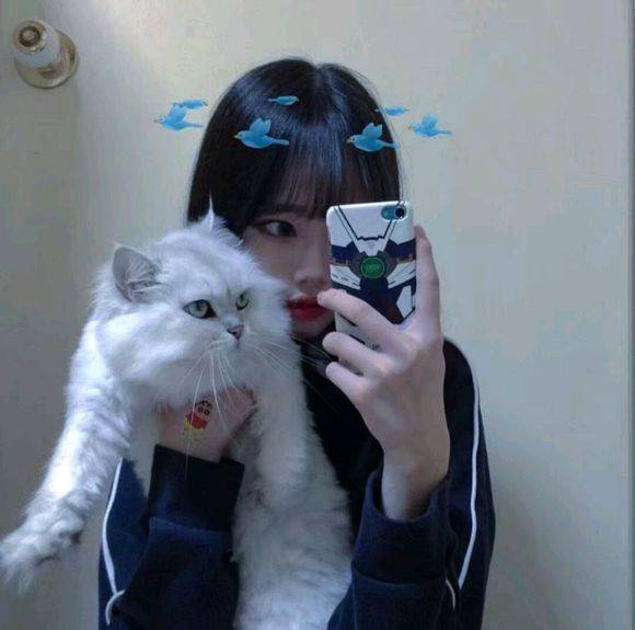 抱猫女头鸭