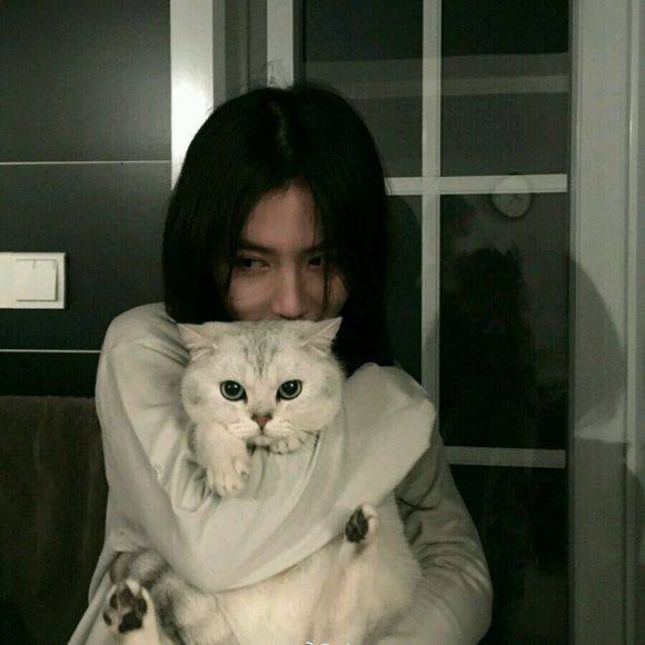 抱猫女头鸭