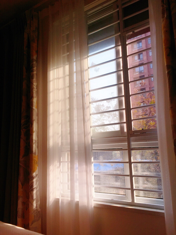 周末的阳光透过窗子